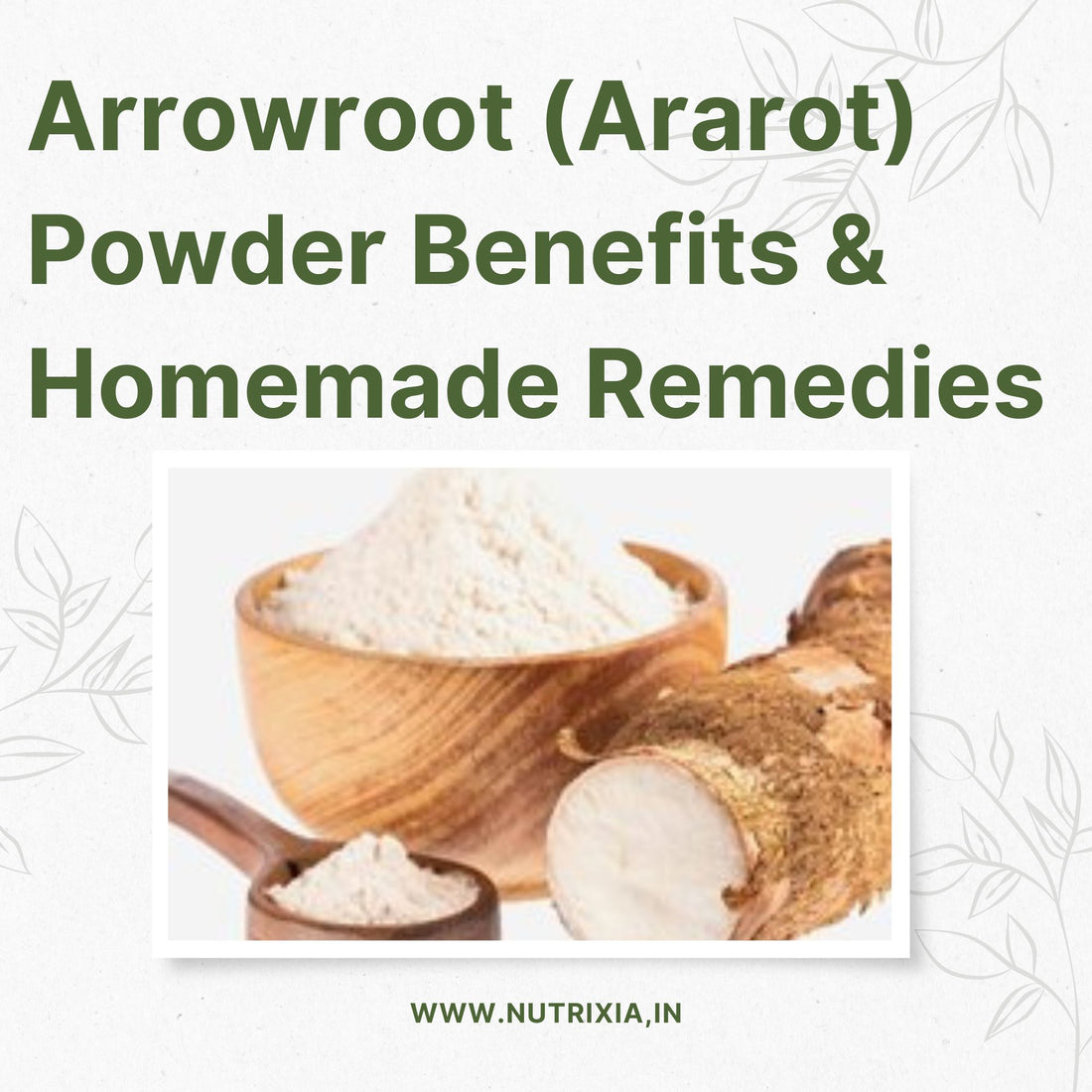 Arrowroot (Ararot) Powder Benefits & Homemade Remedies