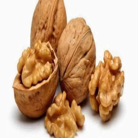 Semi Premium Nut / अखरोट / Akhrot / Juglans / Walnuts Without Shell / बिना चिल्केका अखरोट