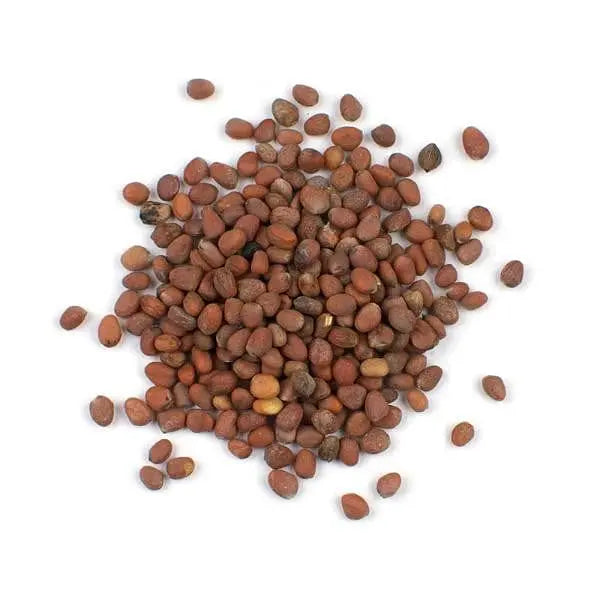 Muli Beej /  मूली बीज / Radish Seed / Raphanus sativus