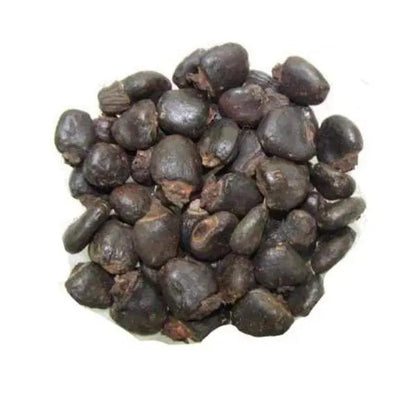 Serankottai - Biba - बिबा - Semecarpus Anacardium- Bhilawa Seeds - Bilava Beej - Bhilava - Bilawa