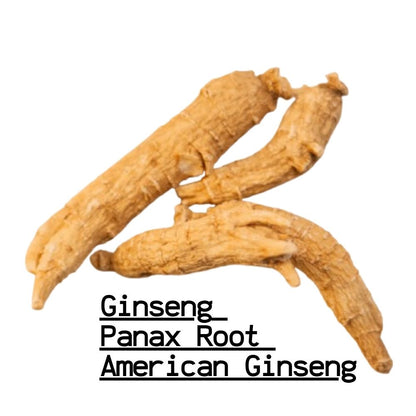 Ginseng Root, Gingseng, Ginsing, Zinseng, Jinseng, Jinsing, Jinsang ginseng ginsing jinseng jinsing other herbs, Gensing Root ginseng root ginsing jinseng jinsing other herbs ginseng root ginsing,&nbsp;Panax Quinquefolius

Regional Names in India:

American Ginseng (English), Safed Ginseng (Hindi), Amriki Ginseng (Marathi, Gujarati, Bengali), Vishvashakti Mool (Sanskrit), Jinseng (Tamil, Telugu, Kannada).