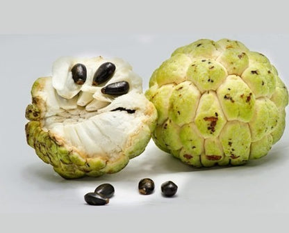 Custard Apple Powder-Sitaphal PoCustard Apple Powder-Sitaphal Powderwder