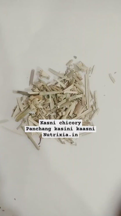 Kasni Panchang-Chicory-Cichorium intybus-dandi-Kasani Kutti